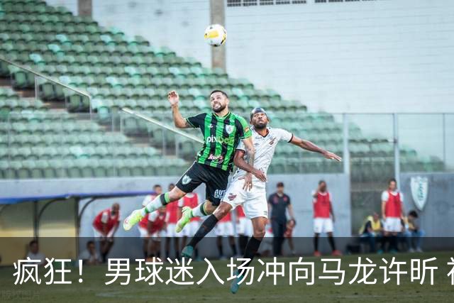 疯狂！男球迷入场冲向马龙许昕 被拦住仍想挣脱 龙蟒心软与他握手