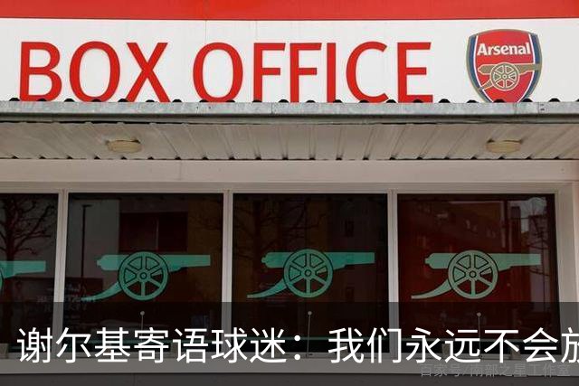 谢尔基寄语球迷：我们永远不会放弃，将以更强大的姿态归来